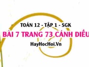Bài 7 trang 73 Toán 12 tập 1 Cánh Diều